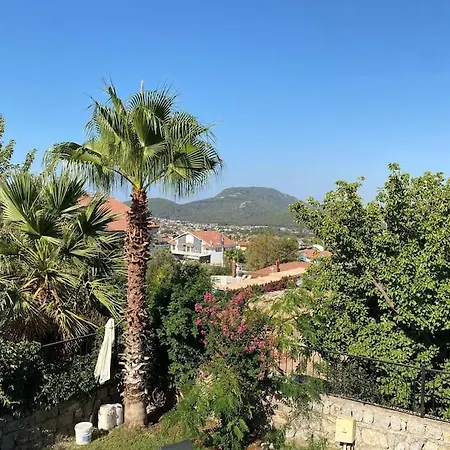 Large With Private Heated Outdoor Pool