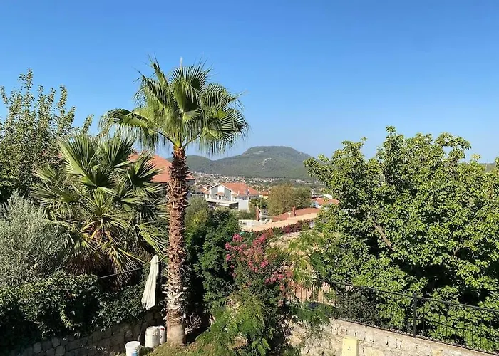 Large With Private Heated Outdoor Pool